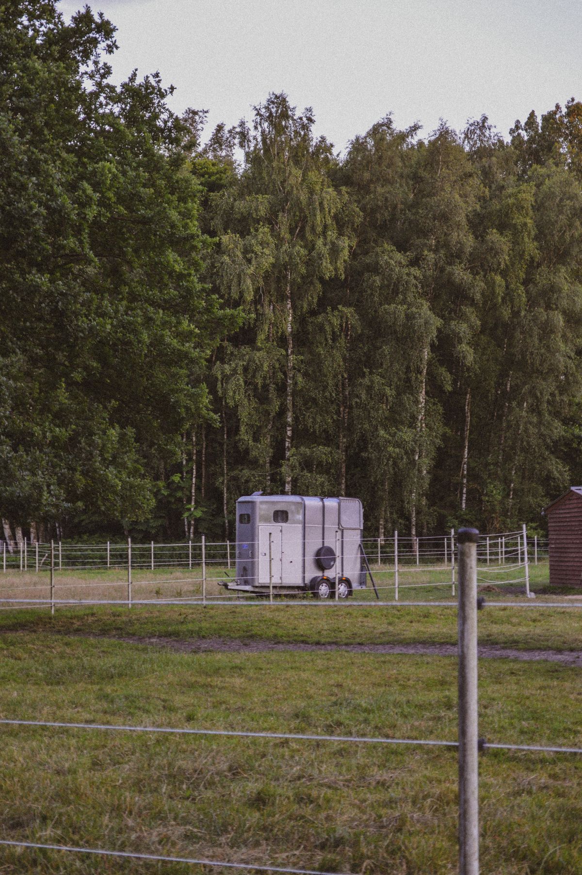 Horse trailer parked in a fenced paddock